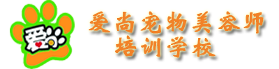爱尚宠物美容培训学校
